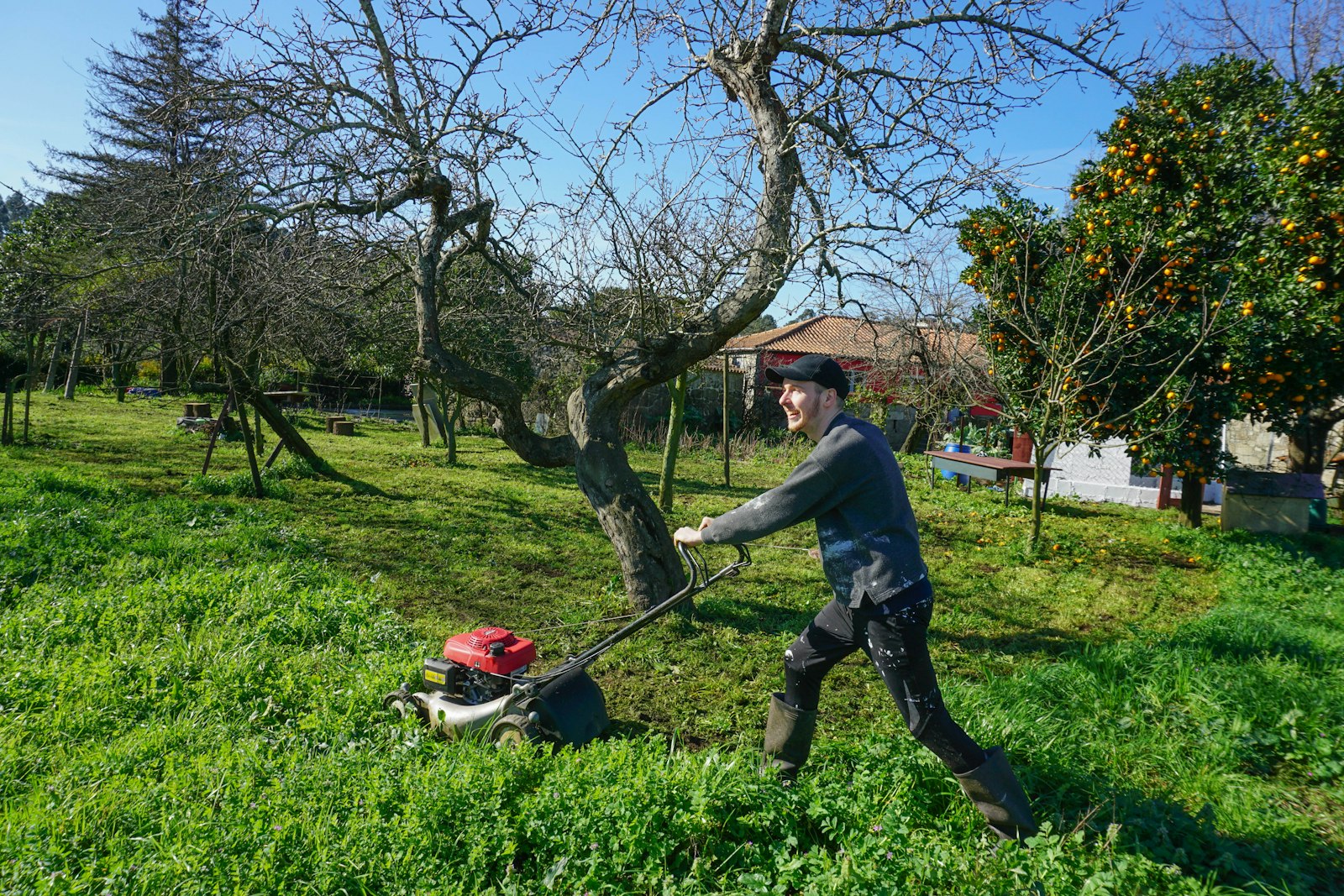 Gartenpflege im Einsatz auf einer Grünfläche